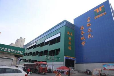 碑林區工廠食材配送單位 新鮮水果直達，守護生產效率